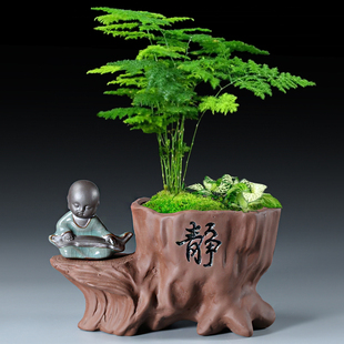 紫砂陶瓷花盆创意组合文竹盆栽客厅桌面禅意小和尚摆件菖蒲复古盆