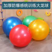 幼儿园室内儿童感统训练器材大龙球家用宝宝，体能玩瑜伽婴儿康复
