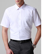 杉系列春秋季常规，版白色抗皱短袖男士衬衫tctb0289d