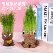 儿童植物小盆栽草头娃娃，幼儿园创意观察生长绿植趣味搞笑头上长草
