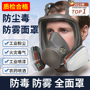 防毒面具全面罩防毒面罩，全脸防尘电焊，呼吸喷漆防护专用打农药毒气