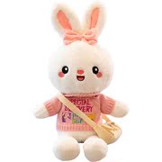 兔年吉祥物公仔可爱穿衣兔子玩偶小白兔毛绒玩具小号娃娃新年礼物