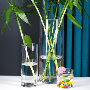 落地客厅摆件插花干花北欧玻璃花瓶透明直筒，水培富贵竹水养瓶