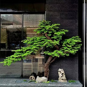 迎客松仿真树大型假树新中式造景室内外酒店橱窗装饰落地摆件绿植