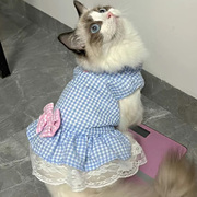 猫咪衣服公主蕾丝裙春秋装薄款宠物，可爱布偶蓝猫小幼猫夏季防掉毛