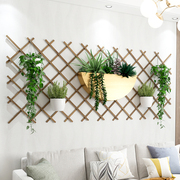 墙上花架壁挂阳台装饰爬藤架客厅布置实木花支架小花园悬挂花篮架