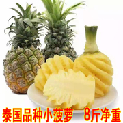 现摘泰国品种菠萝迷你香水小菠萝 新鲜当季孕妇水果 青菠萝除异味