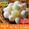 初生鸽子蛋新鲜30枚农家杂粮散养头窝白鸽蛋宝宝辅食