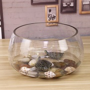 迷你桌面乌龟缸玻璃圆形宿舍办公室小鱼缸桌面小型圆形鱼缸