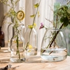 掬涵小型复古花瓶水培插花花器，小口玻璃瓶透明植物水养瓶韩式日式
