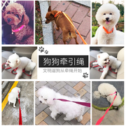 中小型犬狗狗链子宠物脖带尼龙项圈加牵引绳泰迪博美比熊金毛狗绳