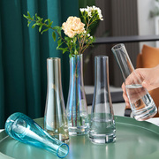 北欧ins风创意简约玻璃，花瓶透明水养，鲜花客厅水培单支插花瓶摆件