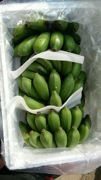 广西水果新鲜banana酸甜小米蕉 带箱8斤。