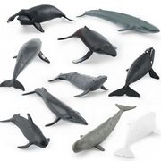 跨境仿真海洋生物模型鲸鱼套装座头鲸巨头鲸抹香鲸小须鲸静态摆件