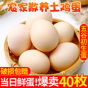 农家散养新鲜土鸡蛋，正宗草鸡蛋40枚笨柴鸡蛋孕妇柴鸡蛋整箱禽鸡蛋