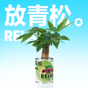 企业礼物办公室桌面创意绿植盆栽发财树如意好运情绪稳定花卉