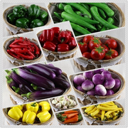 仿真蔬菜 假蔬菜模型 橱柜装饰品 仿真水果蔬菜套装 幼教蔬菜道具