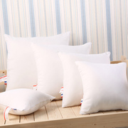 40x45x50x55x60x65x70cm纯白色抱枕芯方垫靠垫芯羽丝绒枕芯方枕头