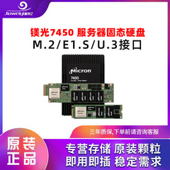 镁光服务器固态硬盘SSD 7450 MAX 6.4TB MTFDKCC6T4TFS-1BC15ABYY
