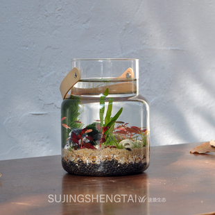 生态瓶水草小鱼缸玻璃办公桌面微景观生日情侣礼物DIY作业免换水