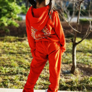 春秋男女童5岁6岁天鹅绒套装儿童休闲运动服两件套宝宝外套裤子