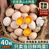 山东新鲜农村土鸡蛋，40枚农家散养自养天然柴鸡蛋，笨鸡蛋草鸡蛋整箱