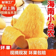 海南小台芒果新鲜10斤水果小芒果整箱当应季特产大果小台农芒果甜