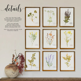 植物标本装饰画照片墙沙发，背景墙押花手作中草药精油树叶花卉挂画
