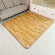 碳晶地暖垫电热地毯宠物电热地垫移动发热地板客厅取暖暖脚垫家用