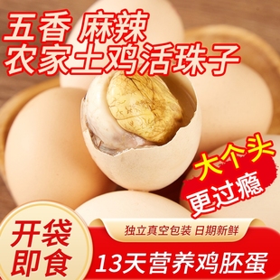 五香香辣活珠子喜蛋，13天新鲜鸡蛋，熟鸡胚毛鸡蛋钢化散养金凤
