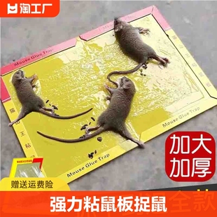 30张强力粘鼠板捉粘大老鼠抓灭鼠笼捕鼠夹神器家用一窝端鼠贴黑胶