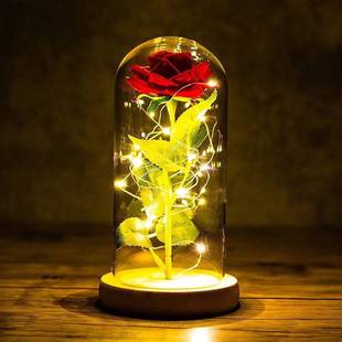 发光花情人节送男友送女友送闺蜜浪漫惊喜创意D夜灯玻璃罩礼物