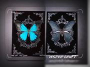 真蝴蝶标本丝绒质感哥特风格家居摆件小众创意礼物各种蝴蝶