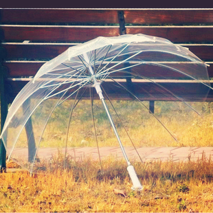 16骨透明雨伞长柄伞创意，雨伞自动伞明星，男女雨伞透明伞广告伞