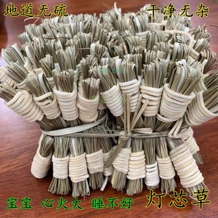 灯芯草 龙须草天然中草药材宝宝心火旺睡不好灯芯草煮水400个