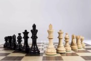 进口高档国际象棋实木立体成人象棋比赛专用益智国际象棋