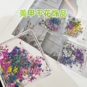 美甲干花饰品小碎花真干花美甲材料指甲装饰立体ins日式春季流行