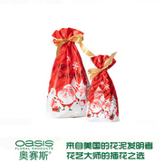 单件经典款圣诞装饰材料包配件圣诞树圣诞花环挂件套装