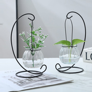 创意铁架水培绿萝玻璃，花瓶容器盆办公室内桌面绿植现代摆件装饰品