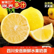 四川安岳黄柠檬(黄柠檬)新鲜水果，奶茶店专用现摘无籽，薄皮一级香水甜柠檬黄