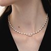 极光以南简约珍珠项链小米珠锁骨，链叠带高级感首饰，纯银圆珠颈链女