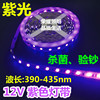 12V紫色灯带5050滴胶防水验钞、杀菌医疗UV紫外线LED贴片紫光灯条