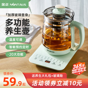 金正养生壶家用多功能煮茶器电煎壶小型养生杯烧茶壶