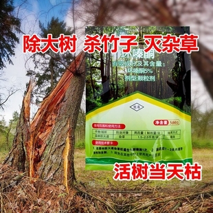 环嗪酮除草烂根剂一扫光，除大树灭竹子烂根粉，强力杀树颗粒剂专用药