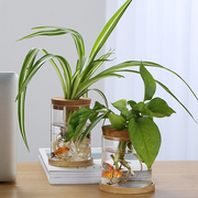 欧式玻璃花瓶透明水培植物，客厅装饰摆件，办公桌插花瓶水养植物器皿