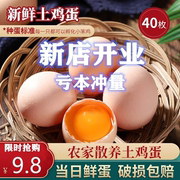 新鲜农家柴鸡蛋小白鸡蛋食用正宗散养谷物鲜鸡蛋虫草蛋土鸡蛋