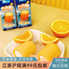 奥雪大冰桶香橙蜂蜜柚子白桃葡萄牛奶雪糕冰淇淋冷饮冰激凌95g1支