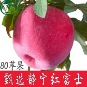 甘肃静宁红富士苹果新鲜水果整箱当季现摘80平果甜脆12斤