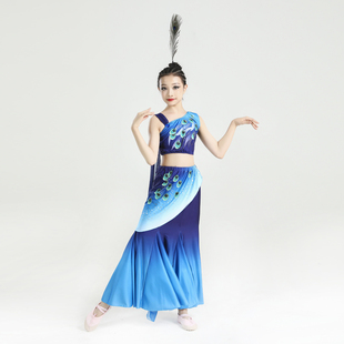 儿童傣族服装女孔雀舞蹈表演服艺考彩云之南鱼尾裙修身练习裙