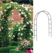 铁线莲月季拱形拱门花架，爬藤架攀爬绿植物支架杆葡萄架户外庭院